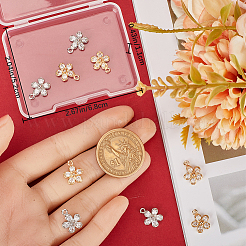 12 шт. 2 стиля подвески-подвески из латуни с кубическим цирконием&nbsp;ZIRC-BBC0002-73