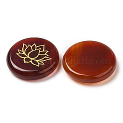 Cabochons d'agate rouge naturelle (teinte et chauffée)&nbsp;G-C158-04F