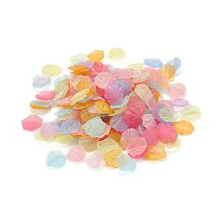 Прозрачные матовые акриловые подвески&nbsp;X-MACR-S371-01A