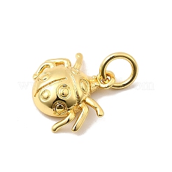 Латунь подвески KK-I364-05G-02