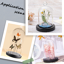 1 шт. стеклянный купол AJEW-SC0002-60B-06