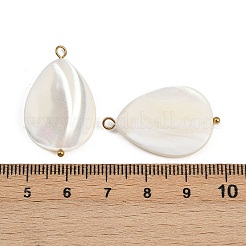 Tropfenanhänger aus natürlicher Muschel&nbsp;X1-STAS-D378-33G