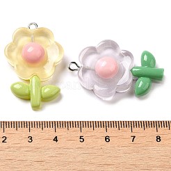 Подвески из полупрозрачной смолы CRES-M030-02