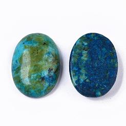 Natürliche Sesam Jaspis / Kiwi Jaspis Cabochons&nbsp;G-T062-18