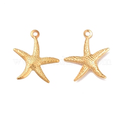 Железные подвески&nbsp;IFIN-I030-10G