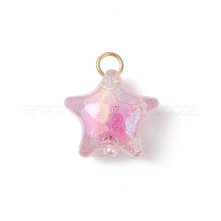 Подвески из акрила с абс-пластиком&nbsp;PALLOY-JF04503-02