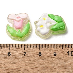 Прозрачные смолы кабошоны CRES-I046-09