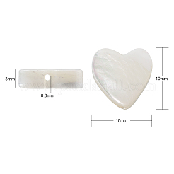 Бусины из натуральных трохоидных/трохус ракушек SHEL-CJ0001-21