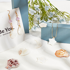 Природные подвески оболочки пресноводных&nbsp;SHEL-SC0001-07