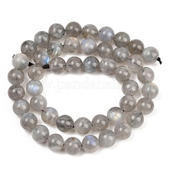 Natur Labradorit Perlen Stränge&nbsp;G-L654-O02-8mm