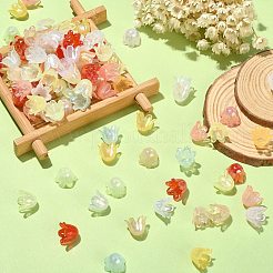 300шт 6-лепестковые имитации желе акриловые бусины колпачки JACR-CJ0001-02