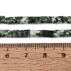 Natürliche grüne Fleck Jaspis Perlen Stränge&nbsp;GG-N002-01A-28