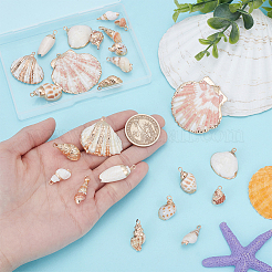 24 шт.&nbsp;SSHEL-UN0001-04