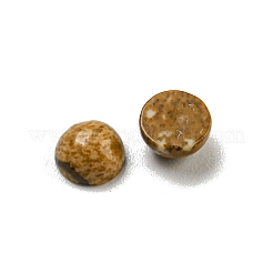Natur Bildjaspisses cabochons&nbsp;G-H309-03-56