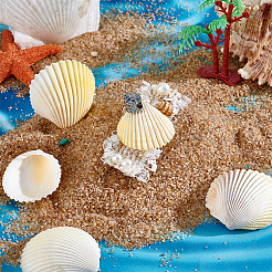 40 шт. натуральная ракушка для украшения аквариума&nbsp;SHEL-PH0001-69C