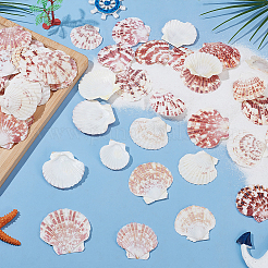 2 стиль натуральная оболочка&nbsp;SSHEL-WR0001-06B