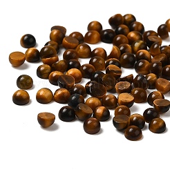 Natürliche Tigeraugekuppel/halbrunde Cabochons&nbsp;G-G037-01C-05