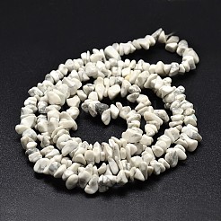 Чип естественно Howlite бисер пряди X-G-N0134-11