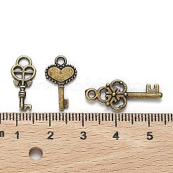 Тибетский стиль ключевые сплава подвески TIBEP-X0001-02-AB