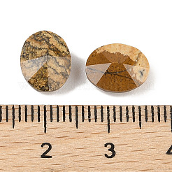 天然石ピクチャージャスパーカボション  オーバル  多面カット  10x8x4mm&nbsp;G-C146-02C
