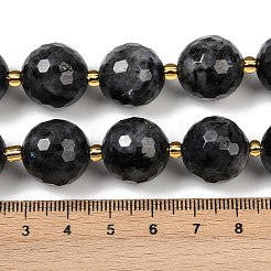 Натуральные нити бус из ларвикита G-C249-A07-16mm