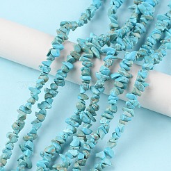 Fili di perline howlite naturale&nbsp;X-G-G0003-B21