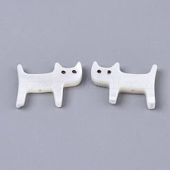 Бусины из натуральных трохоидных/трохус ракушек X-SSHEL-N034-62