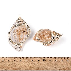 Große Anhänger aus galvanisierten natürlichen Muscheln&nbsp;SSHEL-T018-01