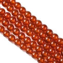 Природного сердолика нитей бисера X-GSR8MM060-1