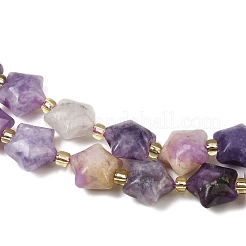 Натуральные лепидолитовые бусины G-Z080-A02-10mm