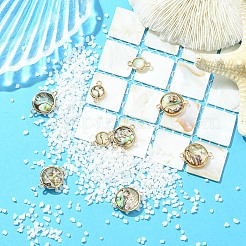 9 шт. 3 стиля подвески-соединители из натуральной ракушки пауа&nbsp;KK-YW0003-61