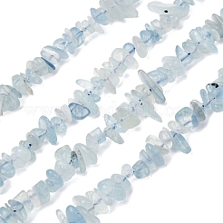 Природные Аквамарин чипов бисер нитей G-D0002-A02