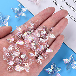 Abalorios de acrílico transparentes&nbsp;LS-MACR-S373-102-C02
