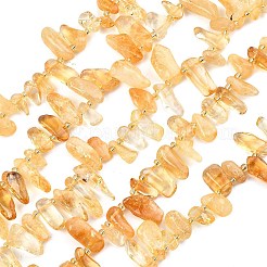 Нити из нагретых натуральных цитриновых бусин&nbsp;G-F821-C04-01