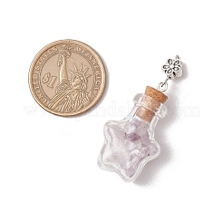 Подвески в виде стеклянных бутылок с натуральным аметистом&nbsp;PALLOY-JF03582-01