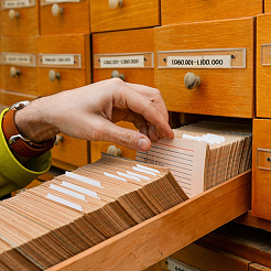 100шт 2-х стилистический пластиковый разделитель для виниловых пластинок FIND-FH0012-14