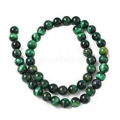 Нити из натурального тигрового глаза класса B&nbsp;G-F591-18-8mm-04