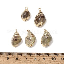 真鍮＆ナチュラルシェルペンダント  巻き貝の形をしたチャーム  金メッキエッジ付き  キャメル  20.5~24x11~13x11mm  穴：1.6mm&nbsp;SH-CBA27C9-07