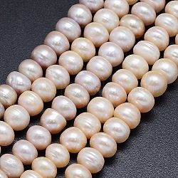 Fili di perle di perle d'acqua dolce coltivate naturali, rondelle, mandorle sbollentate, 9~10x6~7mm, Foro: 0.8 mm, circa 54pcs/filo, 14.9 pollice (38 cm)