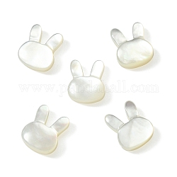 5 pezzo di perle di conchiglia bianca naturale, coniglio, colore conchiglia, 12x10x4mm, Foro: 0.7 mm
