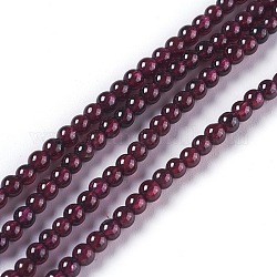 Natural Garnet Beads Strands, Round, 2.5~3mm, Hole: 0.8mm, about 143pcs/strand, 15.47 inch(39.3cm)