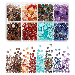 Perline di chip di pietra preziosa mista naturale arricraft, 4~14x4~12mm, Foro: 1 mm, 8 materiali / scatola