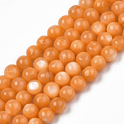 Eau douce naturelle de coquillage perles brins, teinte, ronde, Sandy Brown, 4mm, Trou: 0.8mm, Environ 97~99 pcs/chapelet, 14.88 pouce ~ 15.16 pouces (37.8~38.5 cm)