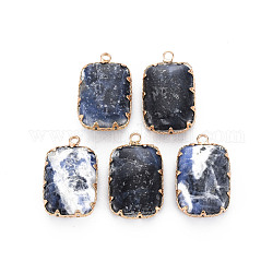 Natural Sodalite Pendants, with Golden Brass Findings, Rectangle, 22x14x6mm, Hole: 1.8mm