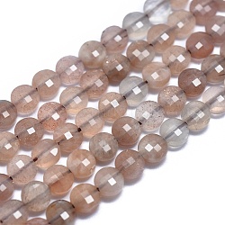 Chapelets de perles de sunstone naturelle naturelles, facette, plat rond, 4x2.5mm, Trou: 0.8mm, Environ 93 pcs/chapelet, 15.15 pouce (38.5 cm)