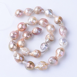 Hebras de perlas keshi de perlas barrocas naturales, perla cultivada de agua dulce, Para la fabricación de joyas artesanales de diy, lágrima, cardo, 15~17x11~13mm, agujero: 0.5 mm, aproximamente 25 pcs / cadena, 15.9 pulgada