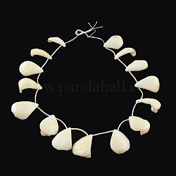 Natural Freshwater Shell Teardrop Bead Strands, Creamy White, 25~33x16~24x7~14mm, Hole: 1mm, about 15pcs/strand, 20.86 inch