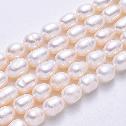 Grade A Natural Cultured Freshwater Pearl Beads, Rice, White, 8~9mm, Hole: 0.8mm, about 36~37pcs/strand, 14.10 inch(35.82cm)