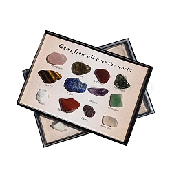 Sammlungen von Nuggets aus natürlichen Edelsteinen, für den erdwissenschaftlichen Unterricht, Box: 85x60x13 mm, Edelstein: 8~14x5~8 mm, 12 Stück / Karton