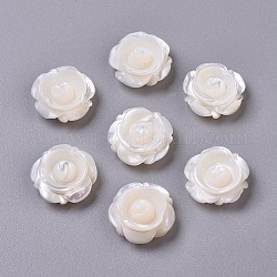 Perles de coquillage blanc naturel, perles coquille en nacre, pas de trous / non percés, rose, 15x6.5mm